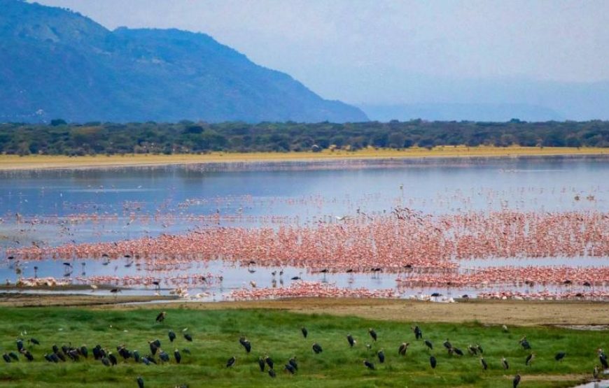 5 Days Lake Manyara, Serengeti & Ngorongoro Safari