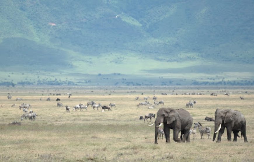 3 Days Ngorongoro Crater Safari Package